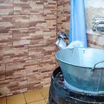 Live Arico Lagar Arico el Nuevo