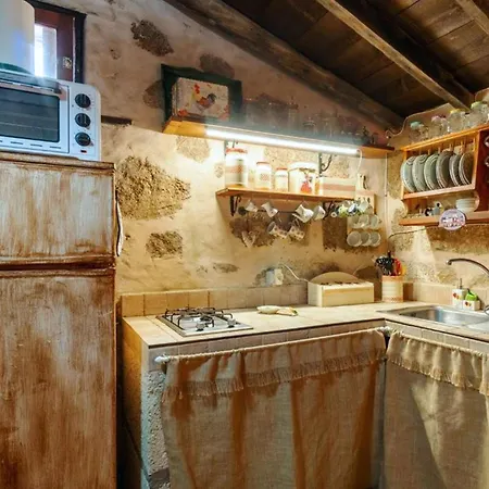 Live Arico Lagar * Arico el Nuevo